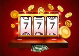 23win6