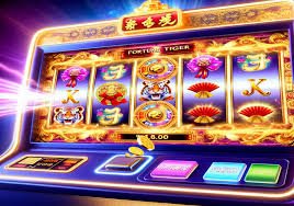 23win6